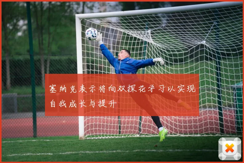 塞纳克表示将向双探花学习以实现自我成长与提升
