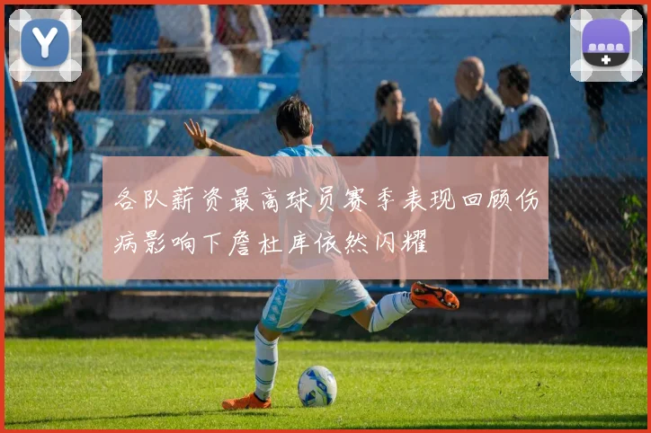 各队薪资最高球员赛季表现回顾伤病影响下詹杜库依然闪耀