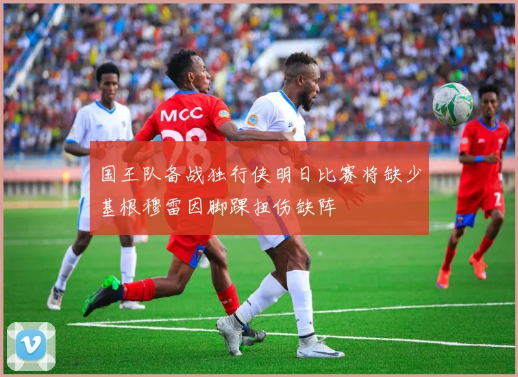 国王队备战独行侠明日比赛将缺少基根穆雷因脚踝扭伤缺阵